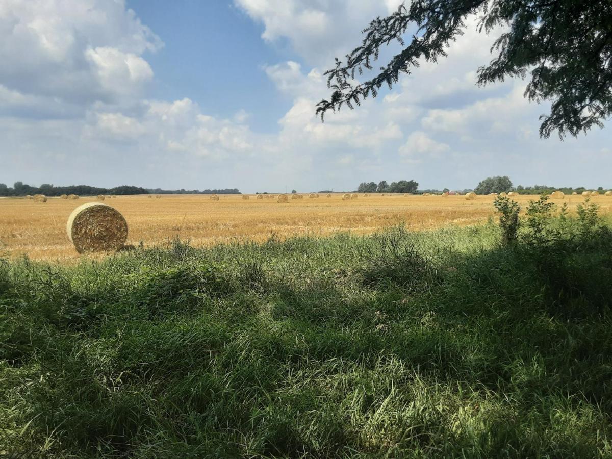 Herberg Tisza Tiszababolna Ngoại thất bức ảnh