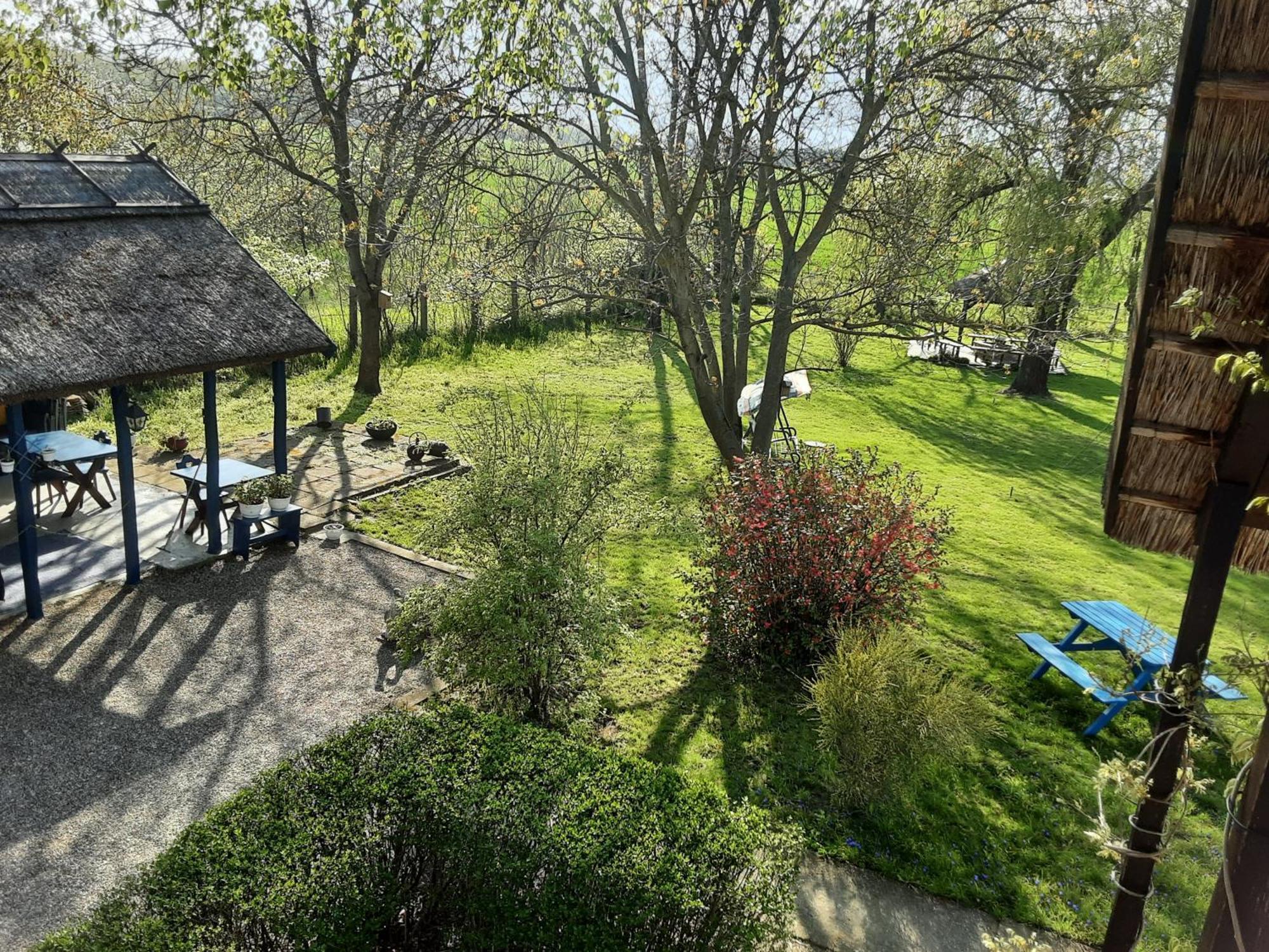 Herberg Tisza Tiszababolna Ngoại thất bức ảnh